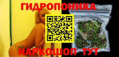 круглые Лесосибирск