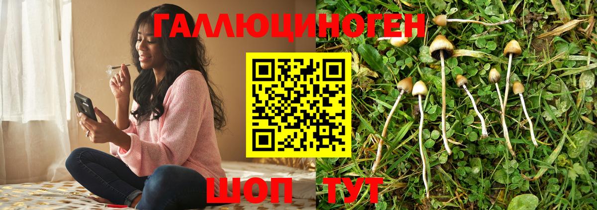 Галлюциногенные грибы GOLDEN TEACHER Азов